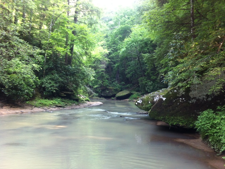 Clifty Wilderness